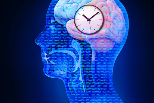 The circadian rhythms are controlled by circadian clocks or biological clock these clocks tell our brain when to sleep, tell our gut when to digest and control our activity in several day. 3d render